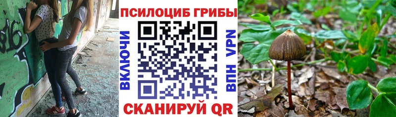 MEGA как войти  Качканар  Галлюциногенные грибы GOLDEN TEACHER 