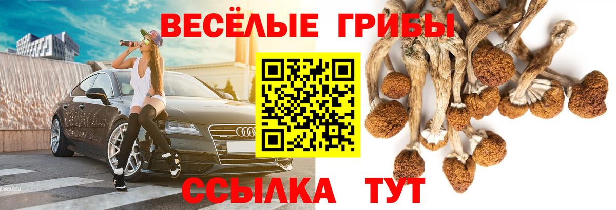 Галлюциногенные грибы Cubensis Качканар
