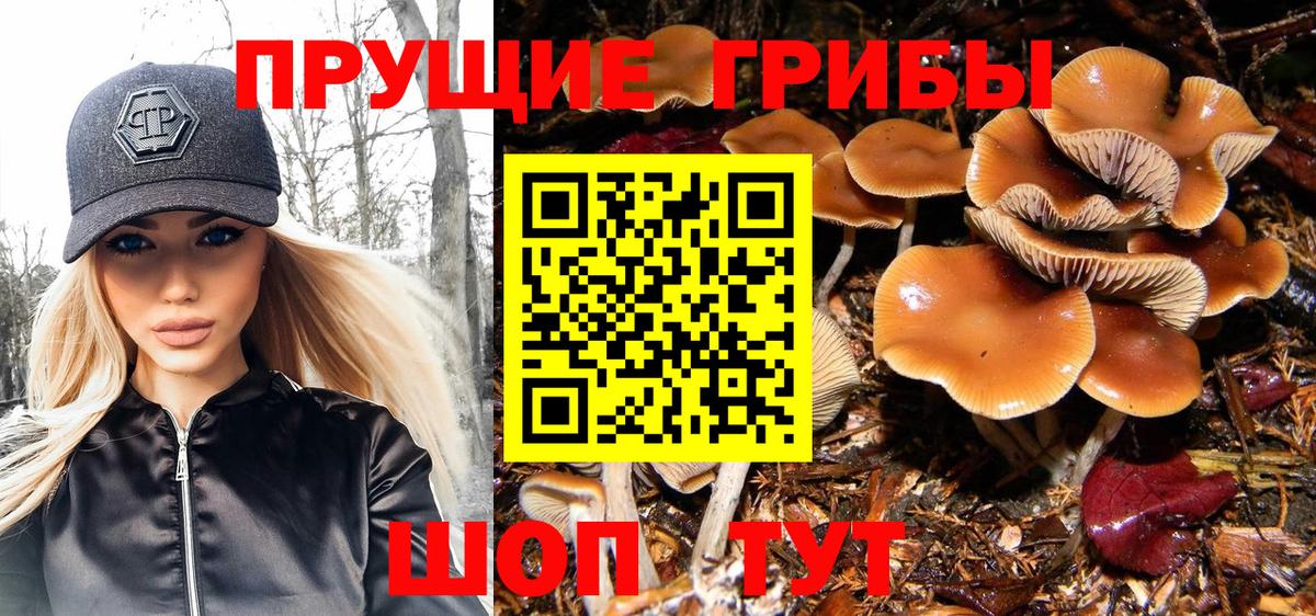 Качканар  Галлюциногенные грибы мицелий  Вход с VPN 