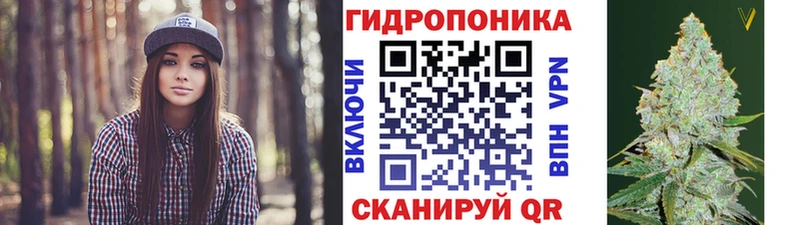 дарк нет наркотические препараты Качканар Бошки Шишки сатива цены наркотик
